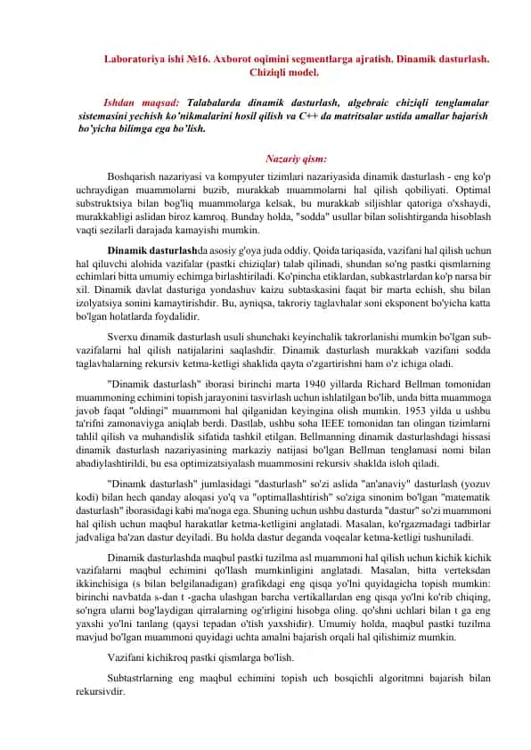 Laboratoriya ishi №16. Axborot oqimini segmentlarga ajratish. Dinamik dasturlash. Chiziqli model.