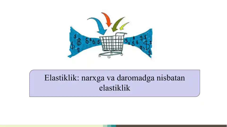 Elastiklik: narxga va daromadga nisbatan elastiklik SLAYD