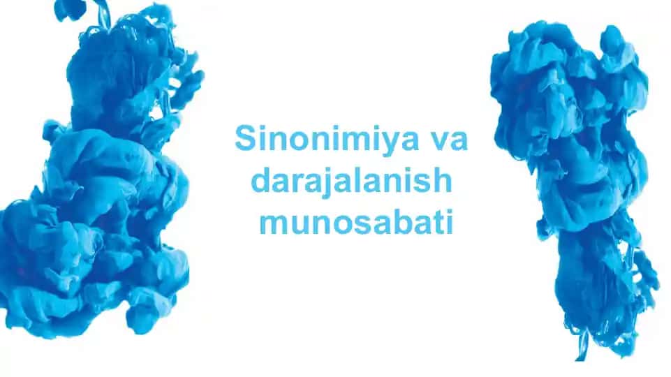 Sinonimiya va darajalanish munosabati