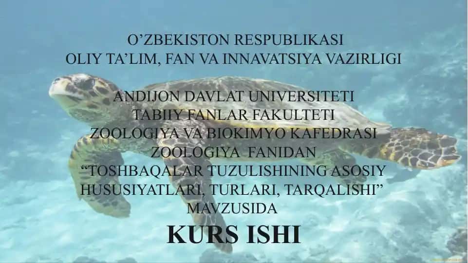 Toshbaqalar tuzulishining asosiy hususiyatları, turlari, tarqalishi