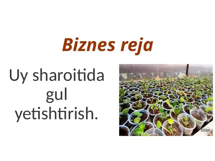 Biznes reja uy sharoitida gul yetishtirish