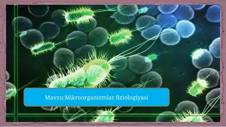 Mikroorganizmlar fiziologiyasi