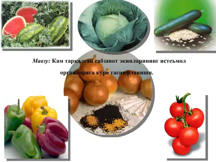 Сабзавот