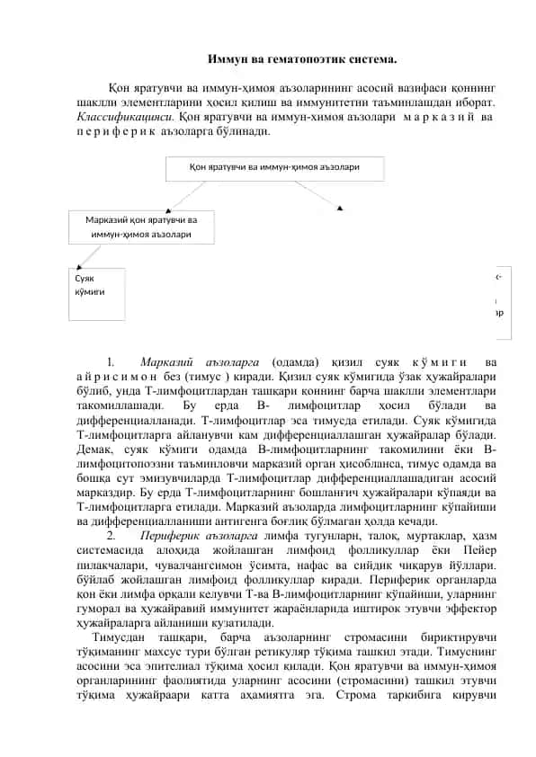 Иммун ва гематопоэтик система