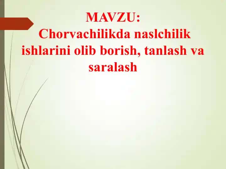Chorvachilikda naslchilik ishlarini olib borish, tanlash va saralash