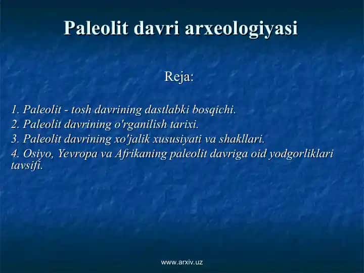 Paleolit davri arxeologiyasi