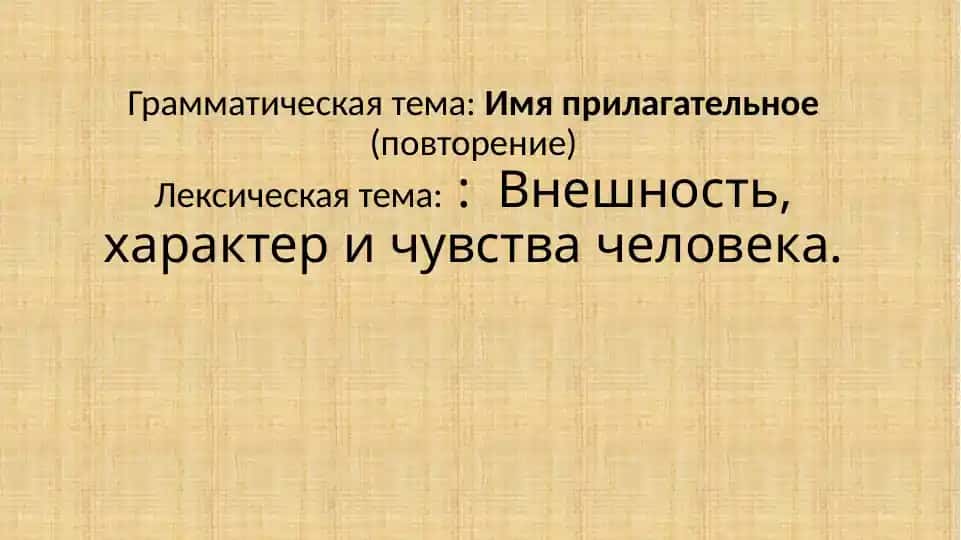 Имя прилагательное (повторение)