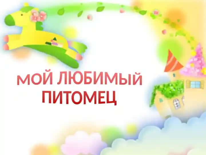Mo‘y sevimlisi rasmlari va nomlari