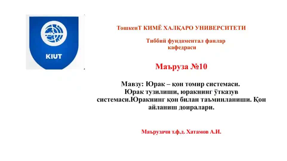 Yu'rak anatomiyasi