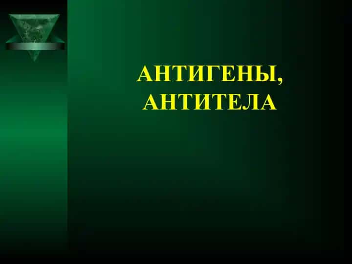Антитела