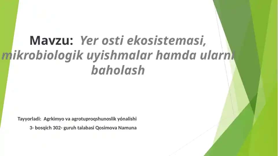 Yerostiekosistemasi va Mikrobiologik Uyishmalar