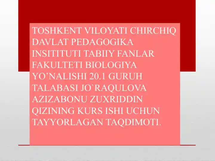 Timsohlar haqida taqdimot