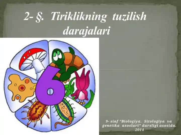 "Biologiya. Sitologiya va genetika asoslari"
