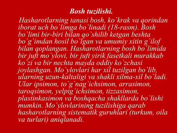 Hasharot anatomiyasi