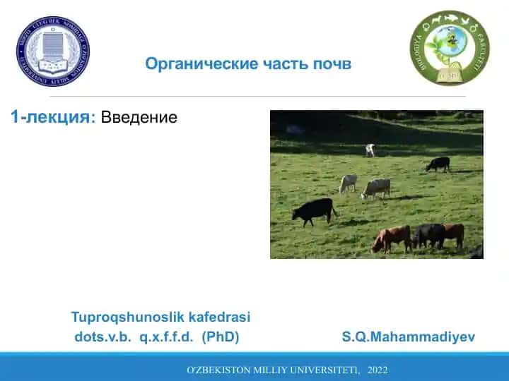 Органические части почв