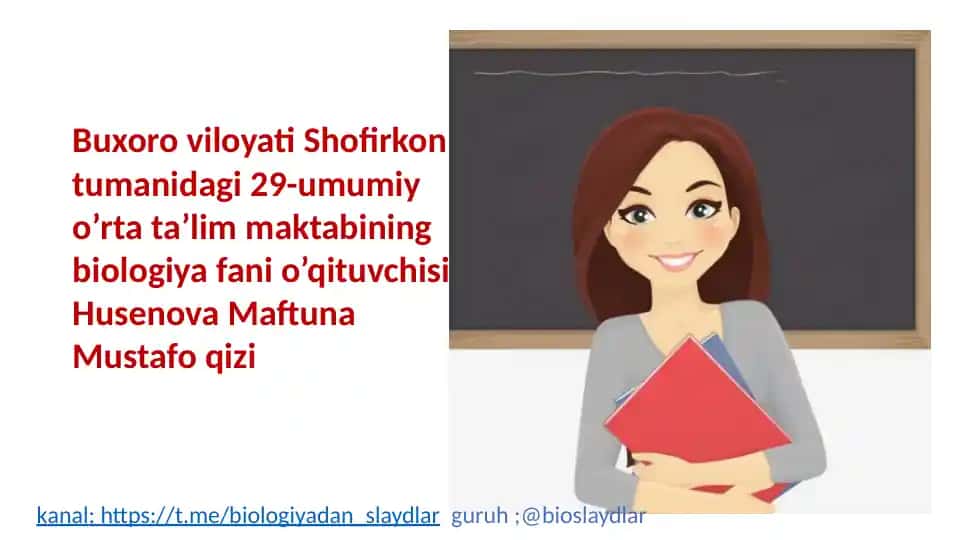 Qon tomirlarining tuzilishi