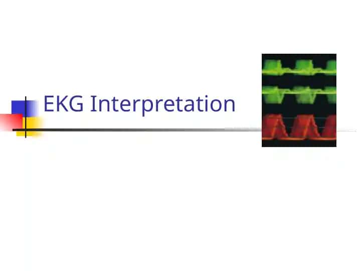 EKG Interpretation