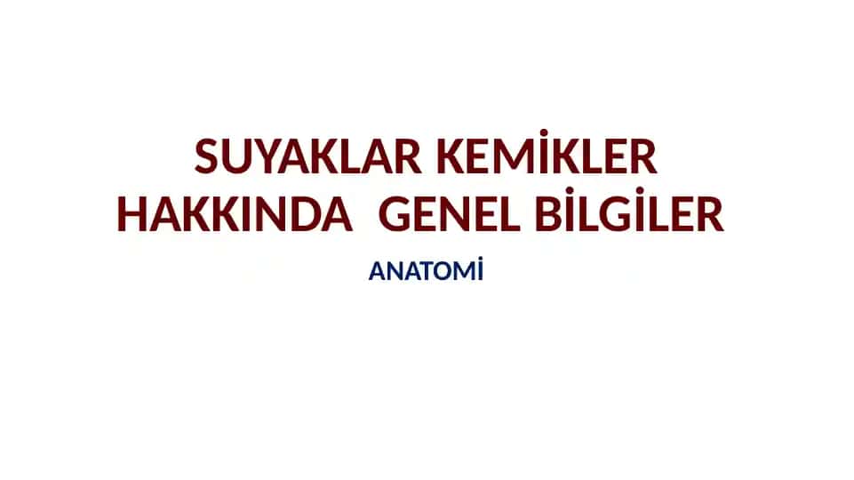 SUYAKLAR KEMİKLER HAKKINDA GENEL BİLGİLER