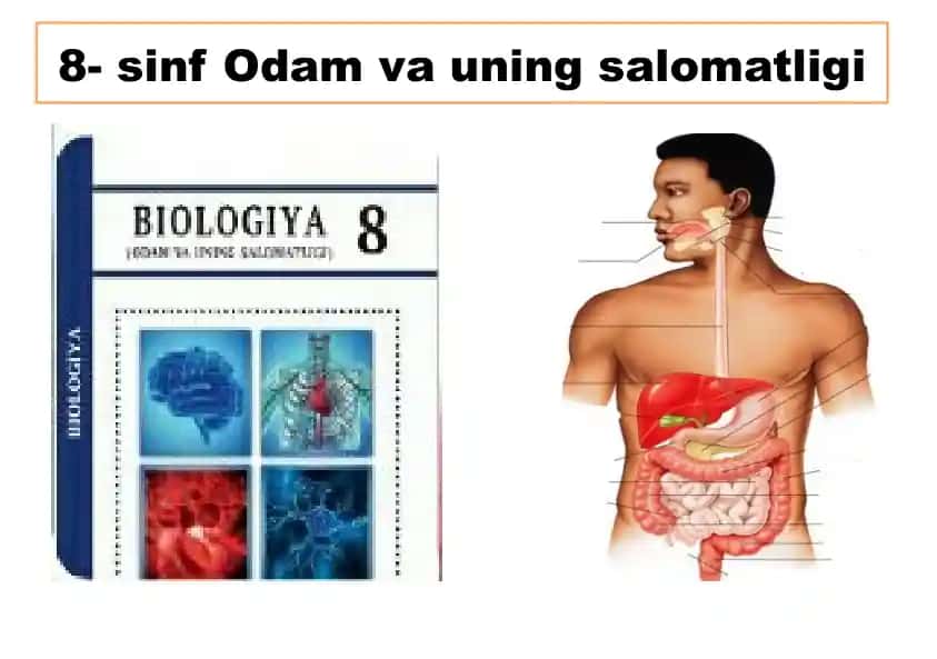 8-sinf Odam va uning salomatligi
