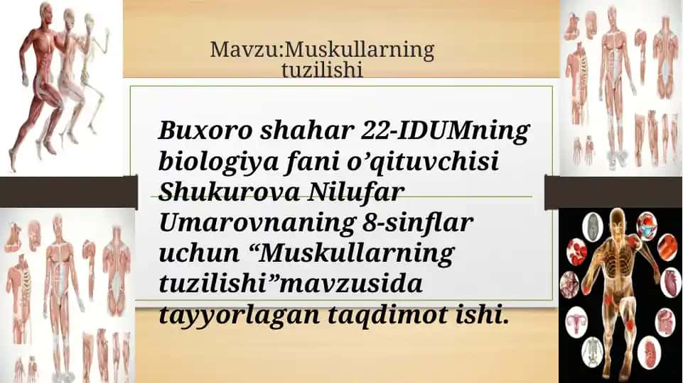 Muskullarning tuzilishi