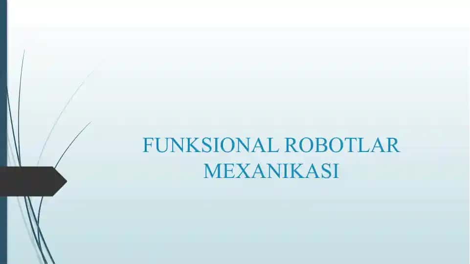FUNKSIONAL ROBOTLAR MEXANIKASI