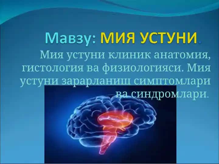 Miya ustuni