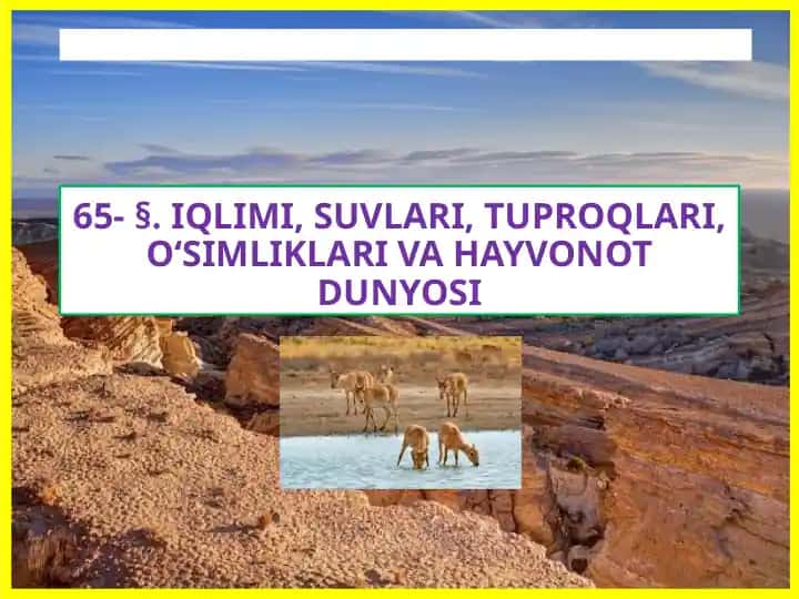 IQLIMI, SUVLARI, TUPROQLARI, O‘SIMLIKLARI VA HAYVONOT DUNYOSI