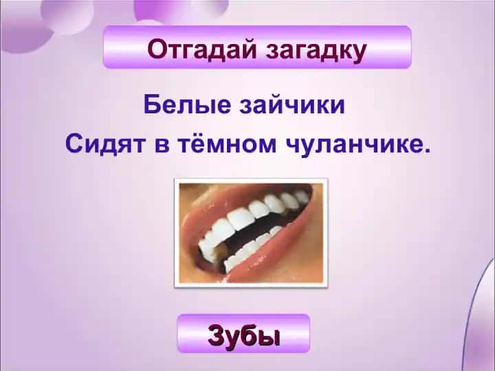 Белые зайчики