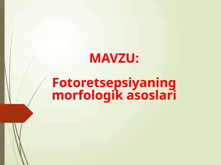 Fotoretsepsiyaning morfologikasoslar