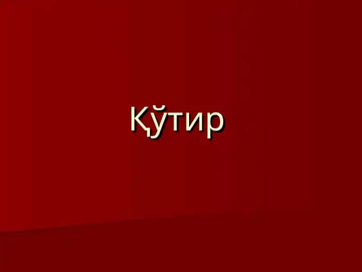 Қўтир