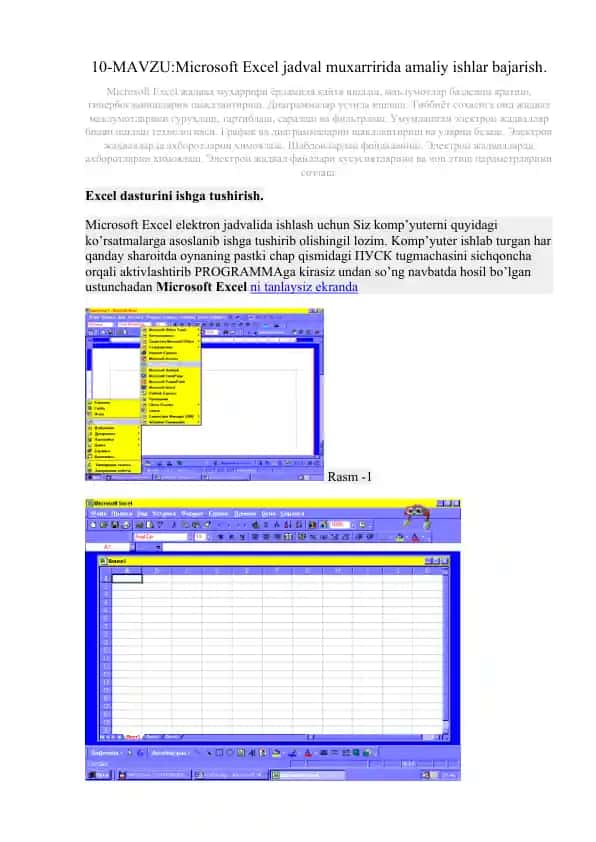 Microsoft Excel jadval muxarririda amaliy ishlar bajarish.