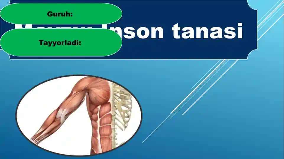 Inson tanasi
