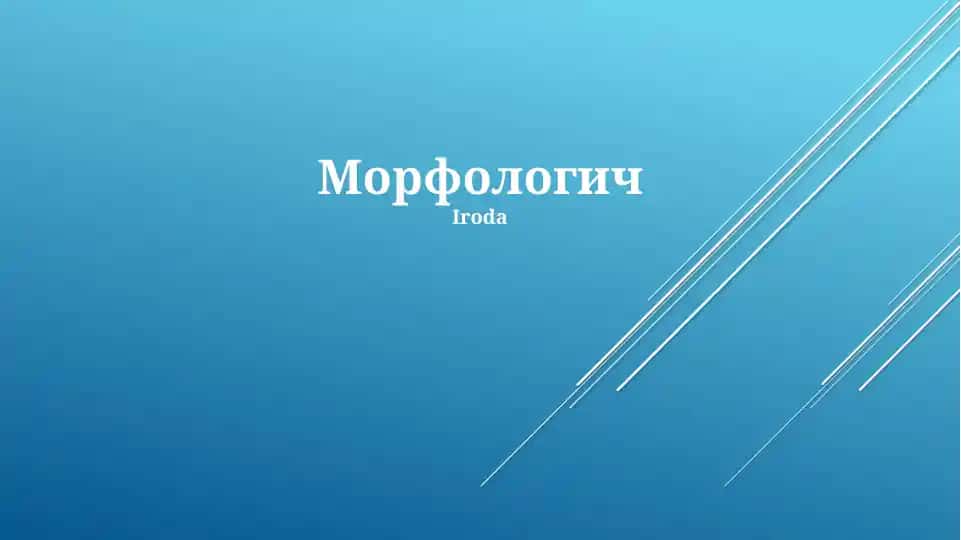 Морфология