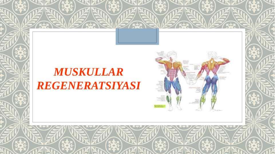 Muskullar regeneratsiyasi