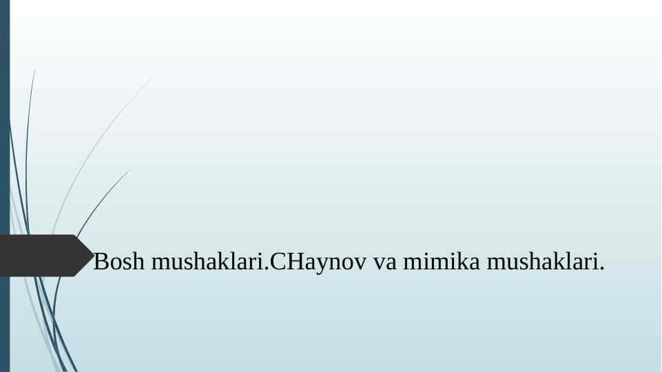 Bosh mushaklari. Chaynov va mimika mushaklari