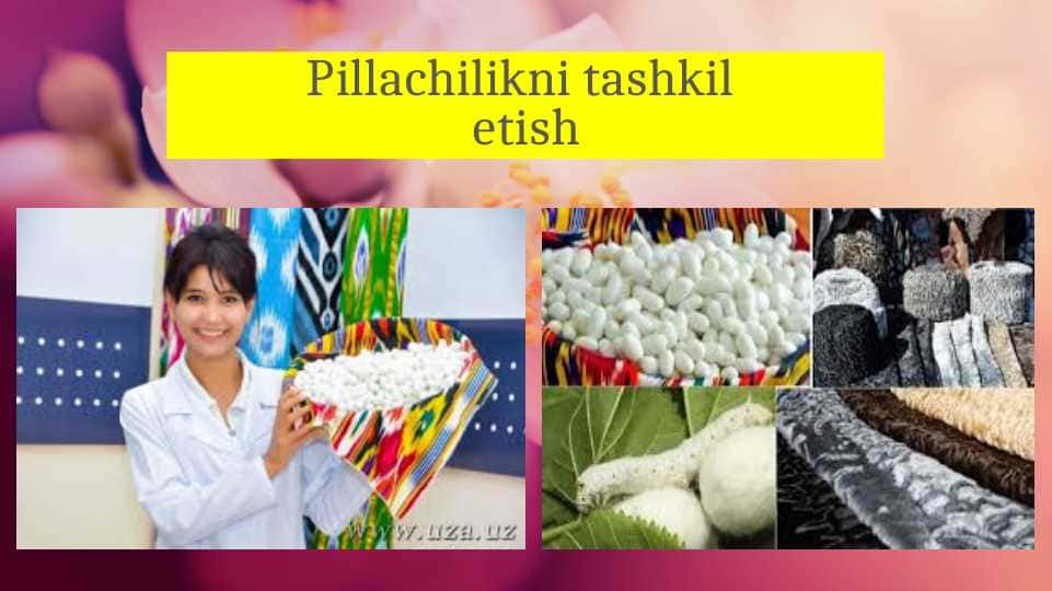 Pillachilikni tashkil etish