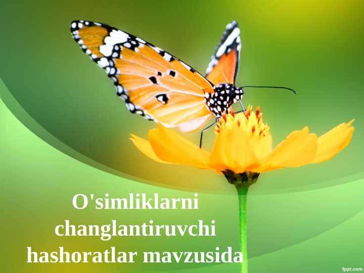 O'simliklarni changlantiruvchi hashoratlar mavzusida