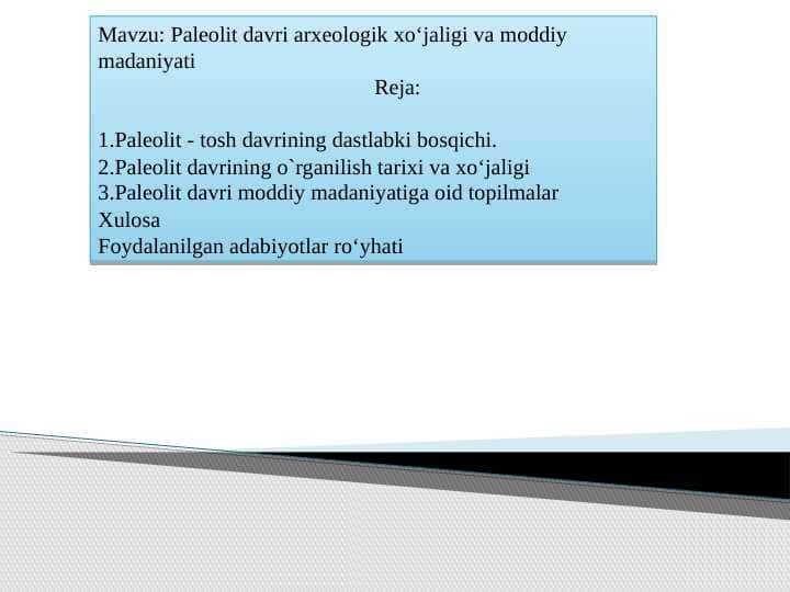 Paleolit davri arxeologik xoʻjaligi va moddiy madaniyati
