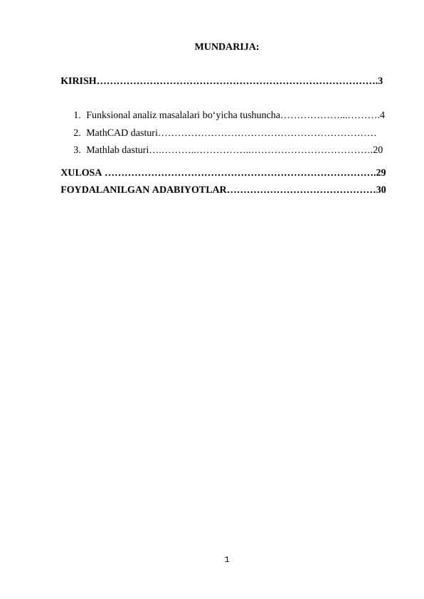 Funksional_analiz_masalalari_tadqiq_etuvchi_dasturiy_taminotlar (5).docx