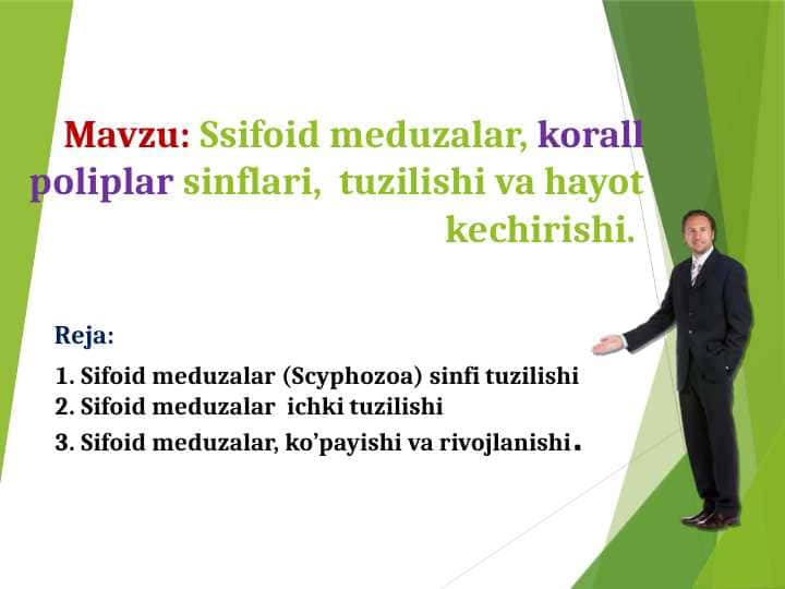 Ssifoid meduzalar, korall poliplar sinflari, tuzilishi va hayot kechirishi