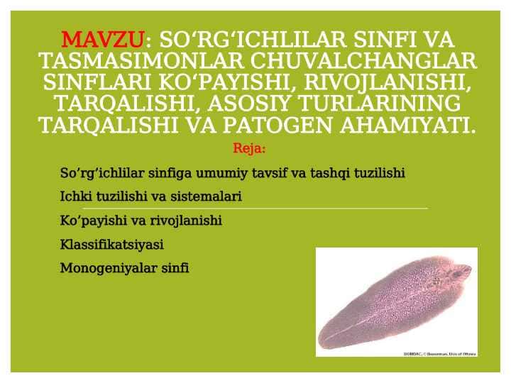 So‘rg‘ichlilar sinfi va tasmasimonlar chuvalchanglar sinflari ko‘payishi, rivojlanishi, tarqalishi, asosiy turlarining tarqalishi va patogen ahamiyati