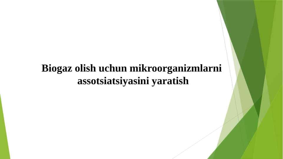 Biogaz olish uchun mikroorganizmlarni assotsiatsiyasini yaratish