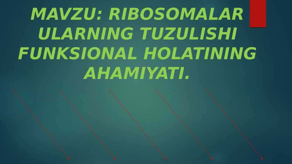 RIBOSOMALAR ULARNING TUZULISHI FUNKSIONAL HOLATINING AHAMIYATI