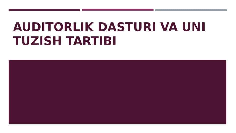 Auditorlik dasturi va uni tuzish tartibi