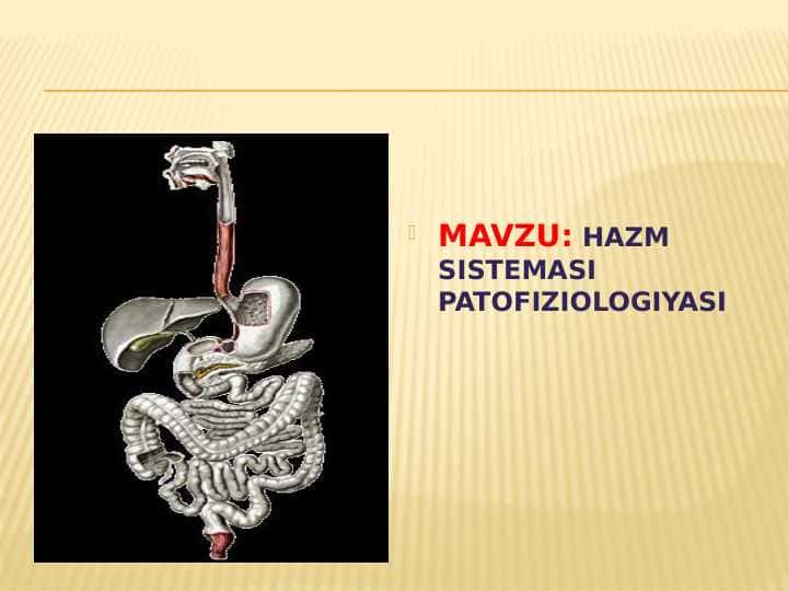 HAZM SISTEMASI PATOFIZIOLOGIYASI