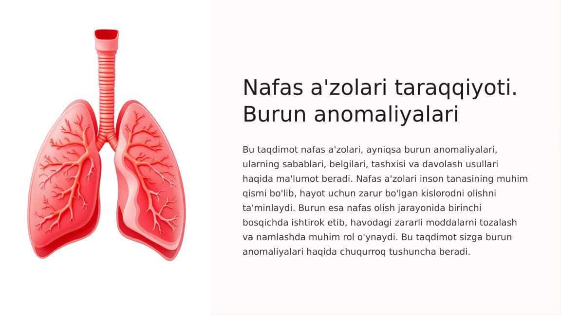 Nafas a'zolari taraqqiyoti. Burun anomaliyalari