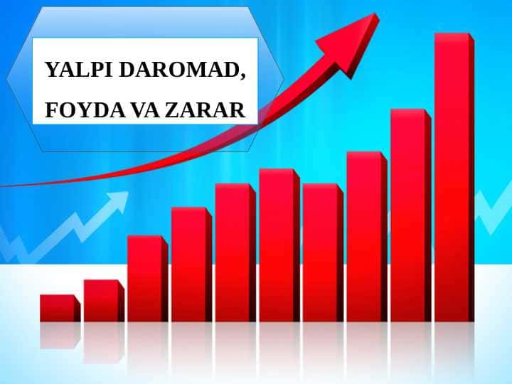 YALPI DAROMAD, FOYDA VA ZARAR