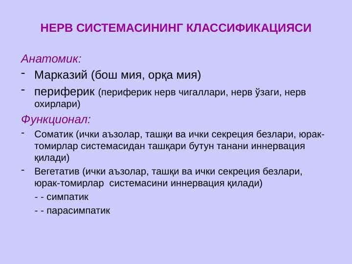Nerv sistemasi ppt