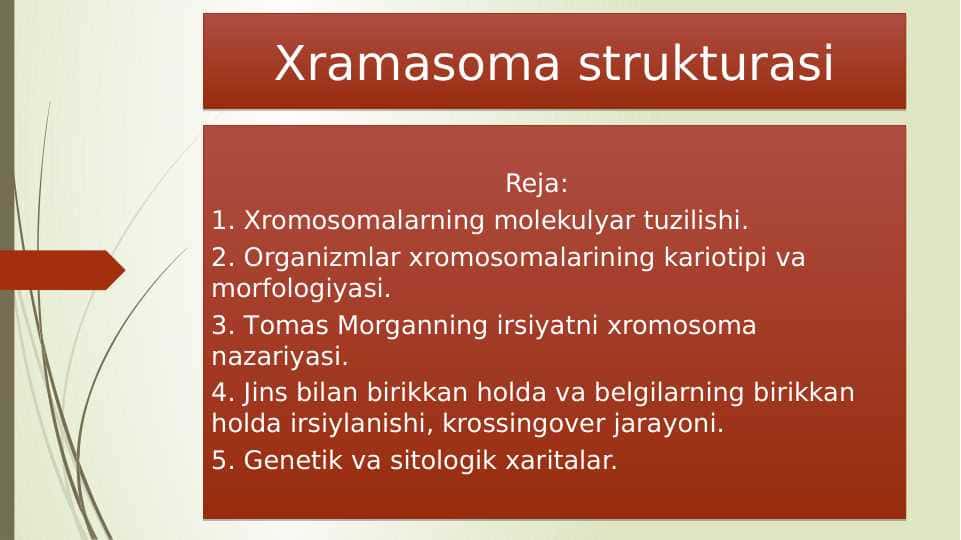 Xramasoma strukturasi