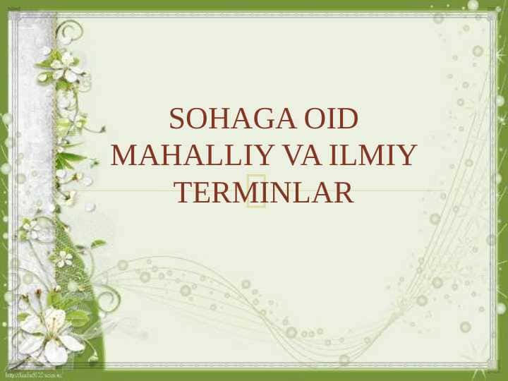 SOHAGA OID MAHALLIY VA ILMIY TERMINLAR